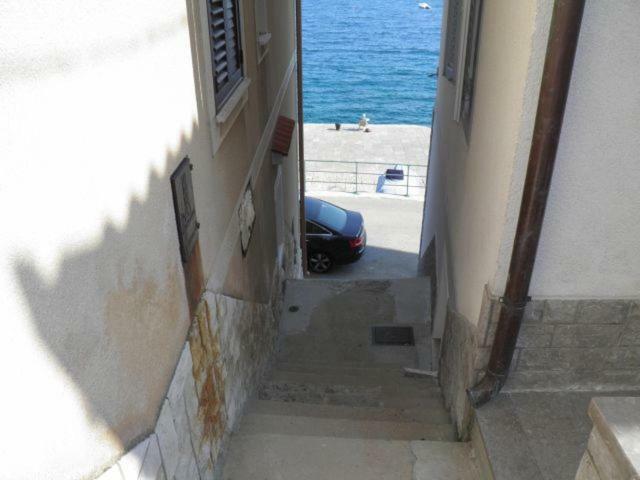 Petra Apartament *